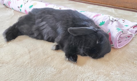 E52BEAD9-830E-4139-8386-F69BE8F318F5