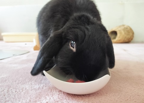 58CA5D5C-BDB2-4197-AE99-5E076FC24871