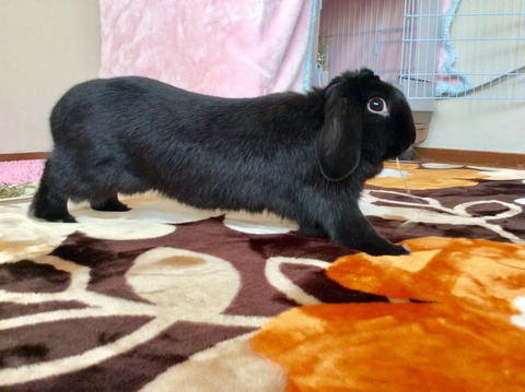 4E3AA651-EAB2-4F80-BC12-69F5E04CF0F9