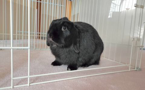 0992D547-61C4-4480-89E8-32E46120416E