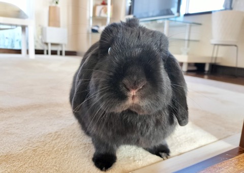 12077EF8-5F1C-4A85-9D8D-A23DD79BFB46