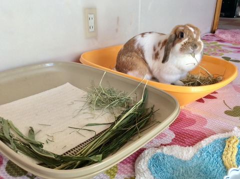 58CB1F89-F019-4054-921E-3D076D4A31FD