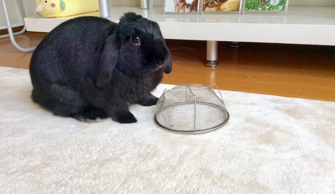 937802F7-2D33-43EF-A7BF-F8EAC4CCDEEE