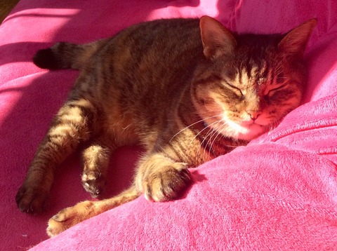 415791D5-E120-41B0-88D4-2E5C5A400417