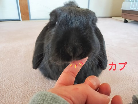 D94B8033-BCD5-4D5F-8A9F-50663098B5AA