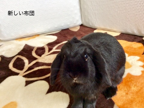 6CAFE609-289C-4568-8D5C-311F298D72E3