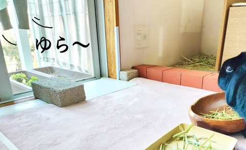 73547A1F-6434-4BFC-A38A-AC5C503968B2