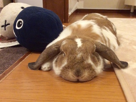 75C55FFD-D3BB-4F5F-A7F0-25A932B69E90