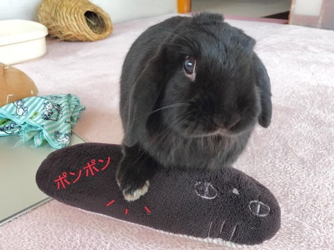 7B1FF88C-96A0-4CE6-B465-F7C7A26C874D