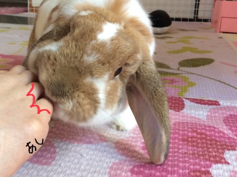 012E38AA-BCEA-4A97-98DE-8A4C85782623