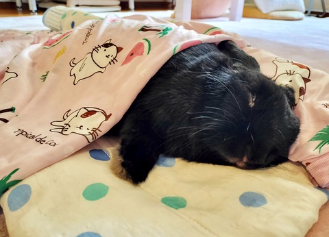 BFB1DB2B-9DC9-4290-AC0C-0154AB1861F3