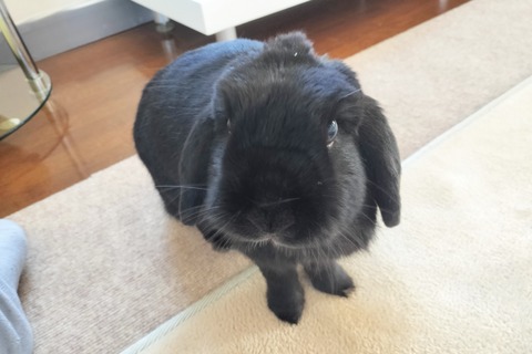 BDBF2F88-0CA5-4090-AB40-F31AC1D90109