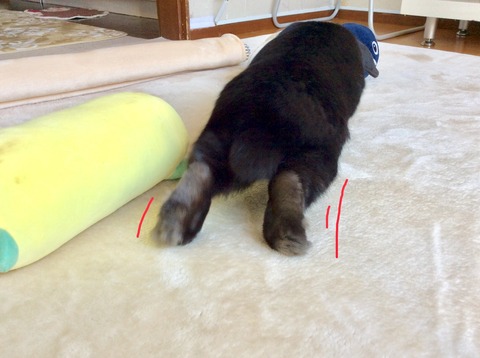 CA19062B-237D-4D1D-9E97-8AFF0231E57E