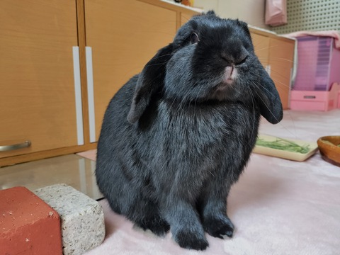 CFC980AB-2F2A-4116-9355-87157DAB08F7