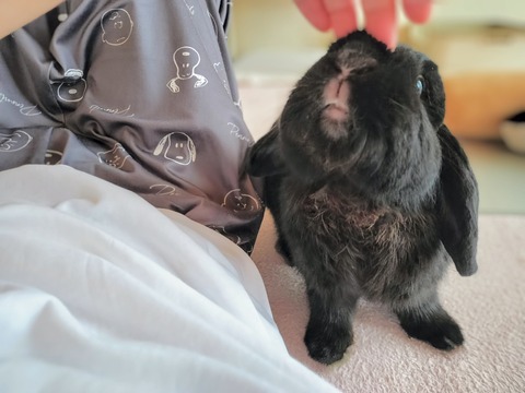 7A801E3D-3F5D-4BC5-B23F-169E46483784