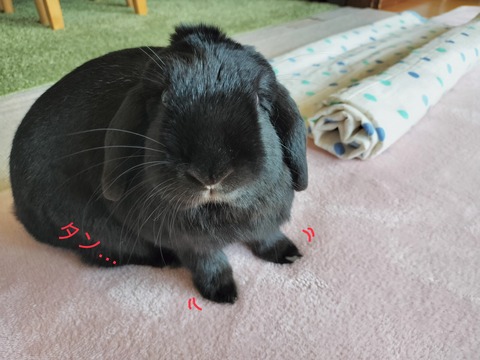 E2988FE3-C0DB-40CD-A320-E3B95A3AED64