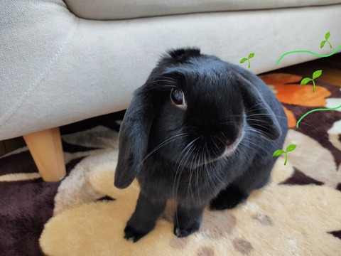 59DAD6E6-B79D-4D8B-939D-7186AF21E9A0