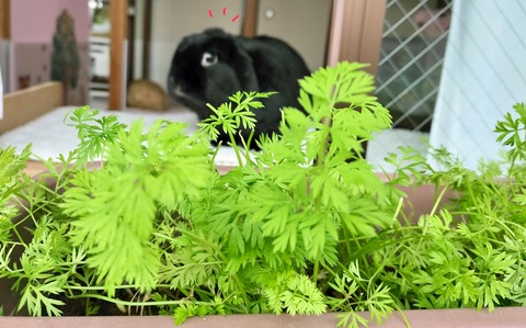 79427FEF-2462-4A1B-8712-E7B34F82382C