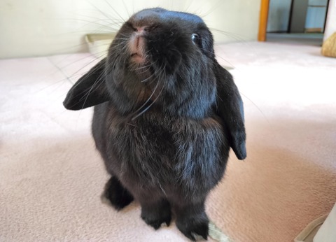 D1467803-BD13-4091-A424-AD93137C2F98