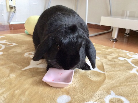 CF7BC486-811C-4B90-83A1-1FB3776451C9