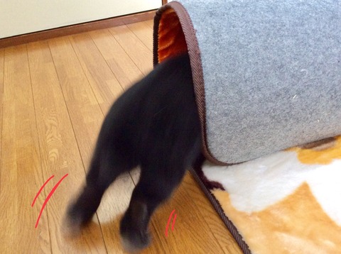 C92DD194-F48D-4189-BAFE-25CA1C668E8A