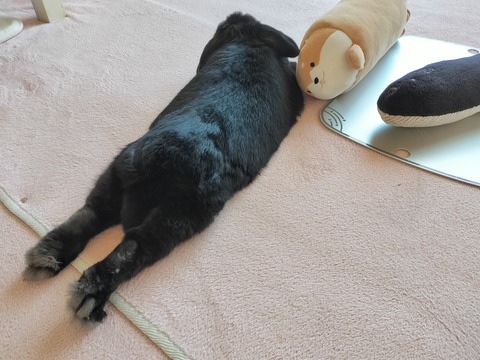 1865708D-C83A-430C-A48F-487847FF31EF