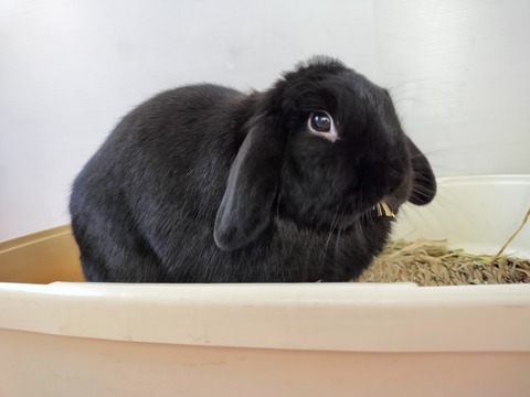 E11AF13C-1DFD-4940-A8B7-607E1DE368C5