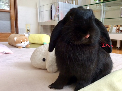 37C27E4D-4176-4BB5-ACC2-73DA9BE6E9CD