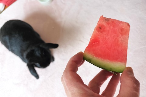 C9FF51AC-9927-4FA3-B3BE-D51CDD2EECA1