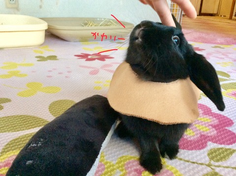 7D276D01-9CF1-4103-8E2D-F91AB7B5B5FB