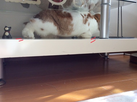 A8D8359F-DF24-4977-9933-5221EDDFED5A