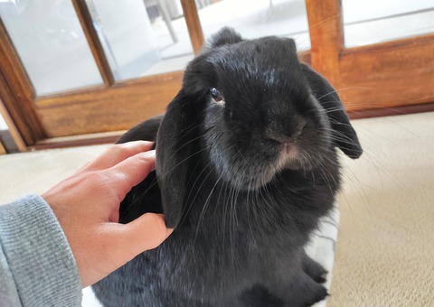 82F6A9D4-F9C1-44DB-BB17-F2F367A8F823