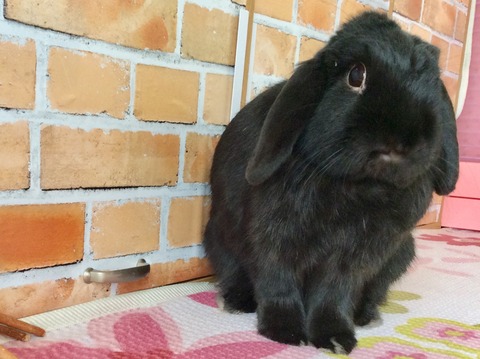 34D76F28-3C55-44EE-8DAA-AFAAEED0BB4E