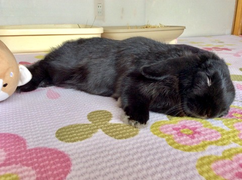 25154D6A-7232-46DC-BF12-C4F83704BA72