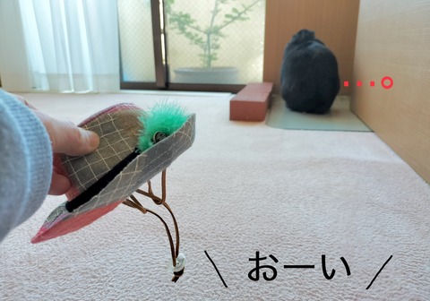 C5FC6C36-D377-425F-A41D-ECF9FAC74CC8