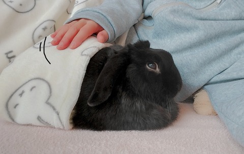 4EBEA2DC-51B5-4CB7-900C-EB12DCAC747E