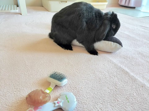 76F88E39-8498-4828-9534-21113D7873FC