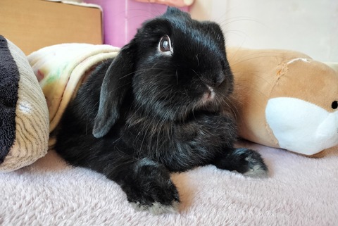 22A1F9BB-F903-444D-82D8-D1C014001678