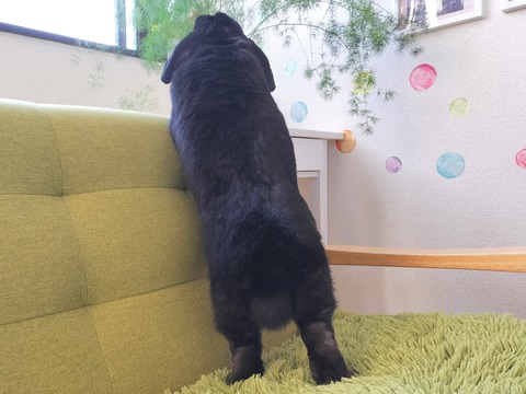 0F020A3B-1D8F-48AB-8A18-6FF8CC51BD0D