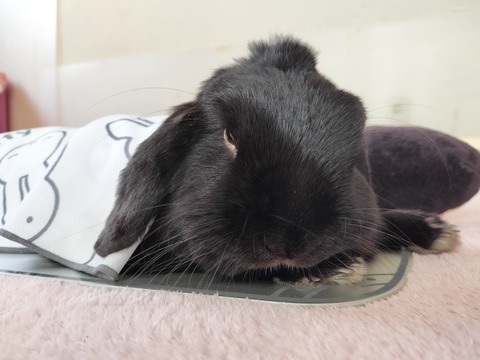 77FC73E3-0ECE-45F6-A8AC-36C8506E8E5D