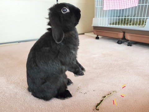 123E6247-6FC2-48E1-9A32-C008AF4B4EDE