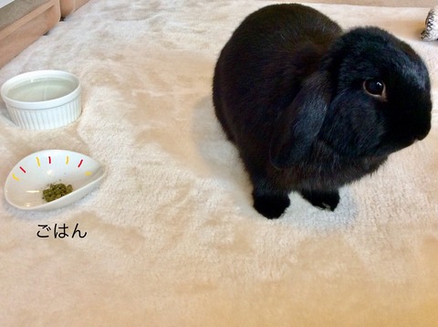 AEF1B546-DDA5-461B-AA57-348A76FEF836