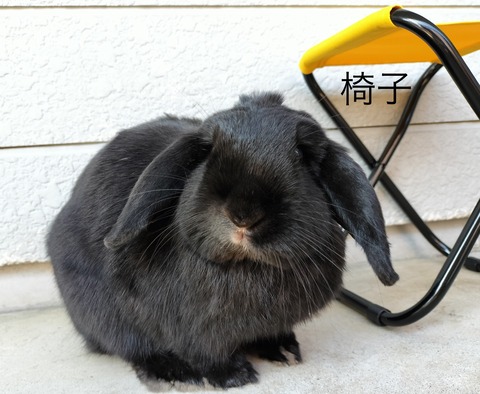 B7FB9F50-B144-4DFC-81EB-78F787DCA8DF