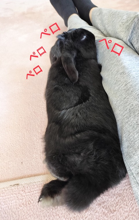 E0F8EBB6-0C7C-47C2-B25D-FD7FF66A2E8B