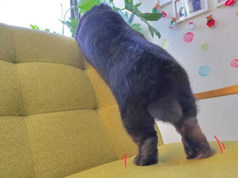 F3470417-7172-415B-9C01-1ADEEA0EC78D