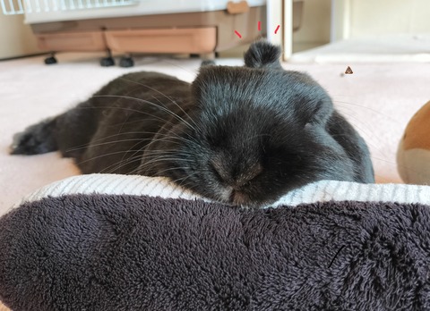 075D73FD-6C3D-4E65-8E51-EBA35991D786