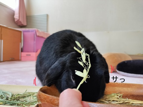 FF5306D8-B931-47AF-96F4-3ADC01CA2465