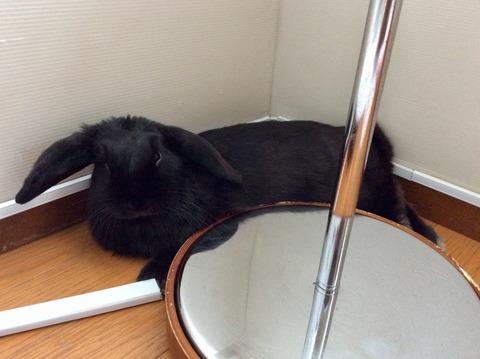 FB8EF677-0A89-4B61-ADA6-6FC63721834C