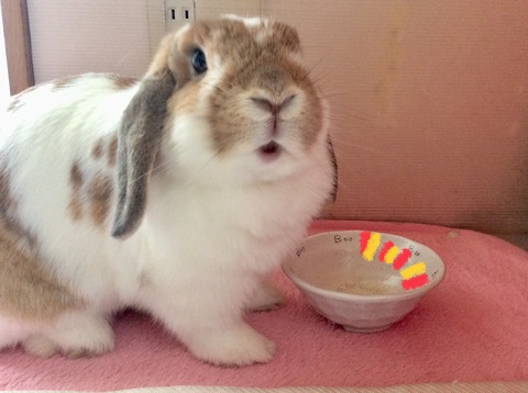 99844BCE-649D-4374-BDC1-ACBC2B1D1A2D