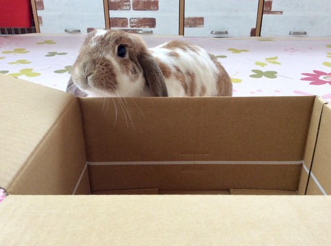 FDDC1336-49CC-4DC7-8BAF-428457534D6F